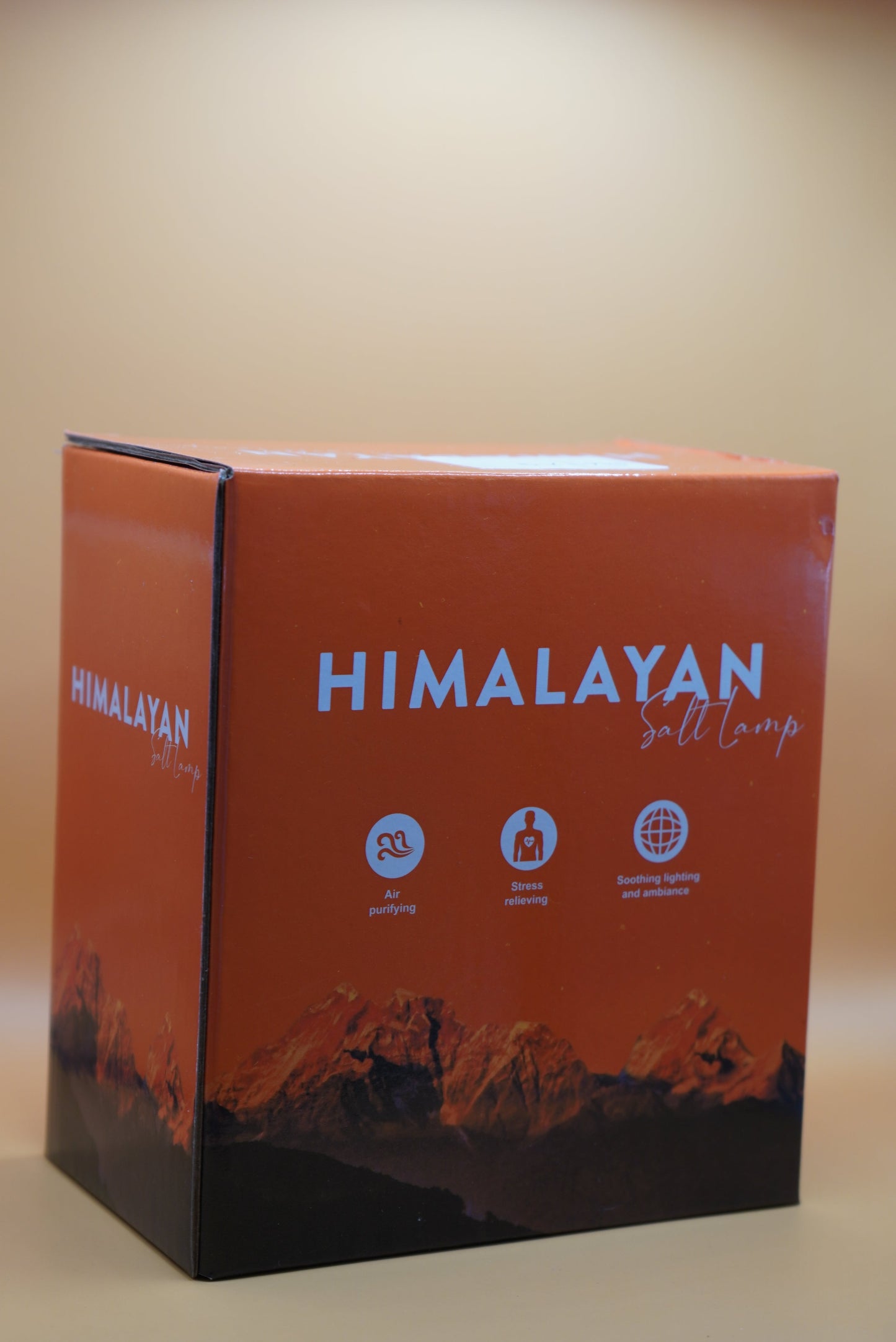 Moon-Shaped Himalayan Salt Lamp