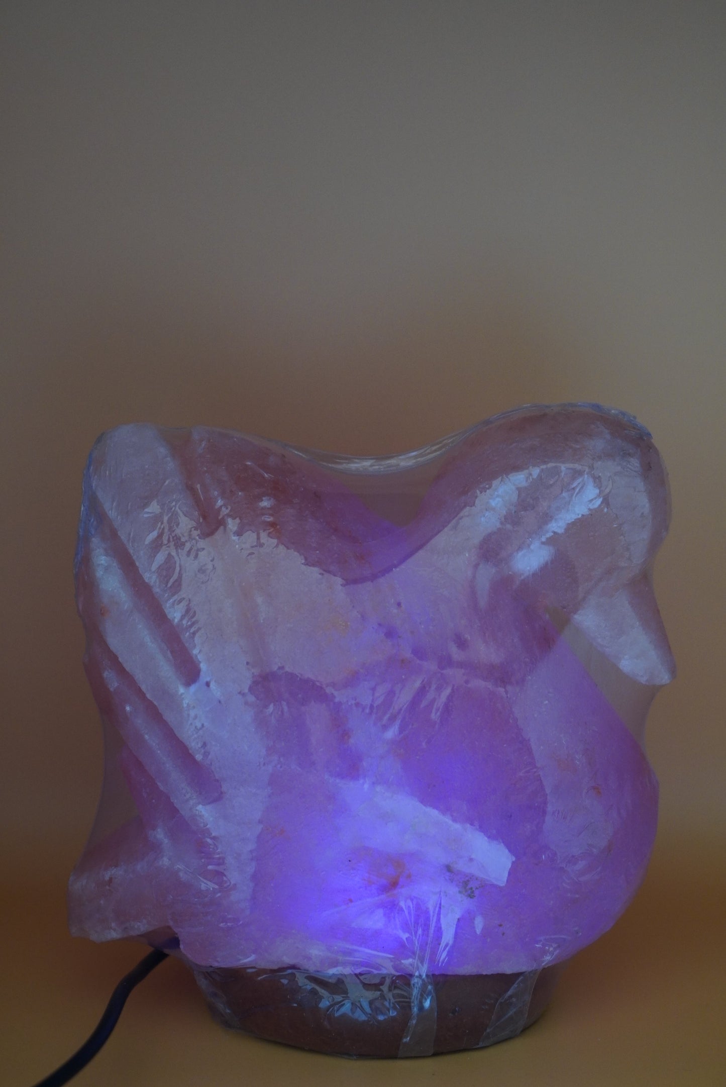 Swan-Shaped Himalayan Salt Lamp