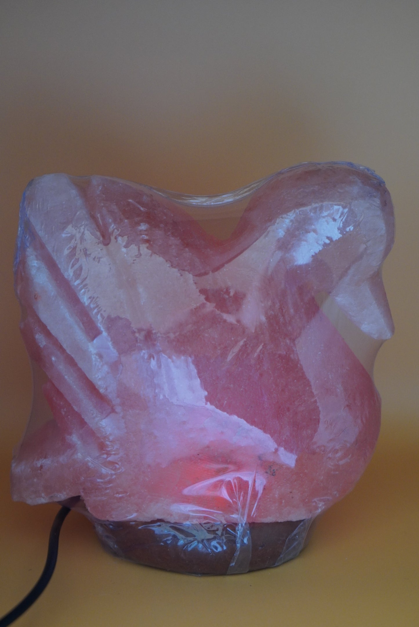 Swan-Shaped Himalayan Salt Lamp